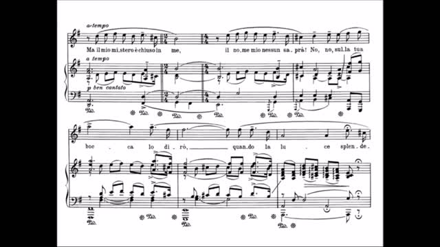 Nessum Dorma Flute by Me