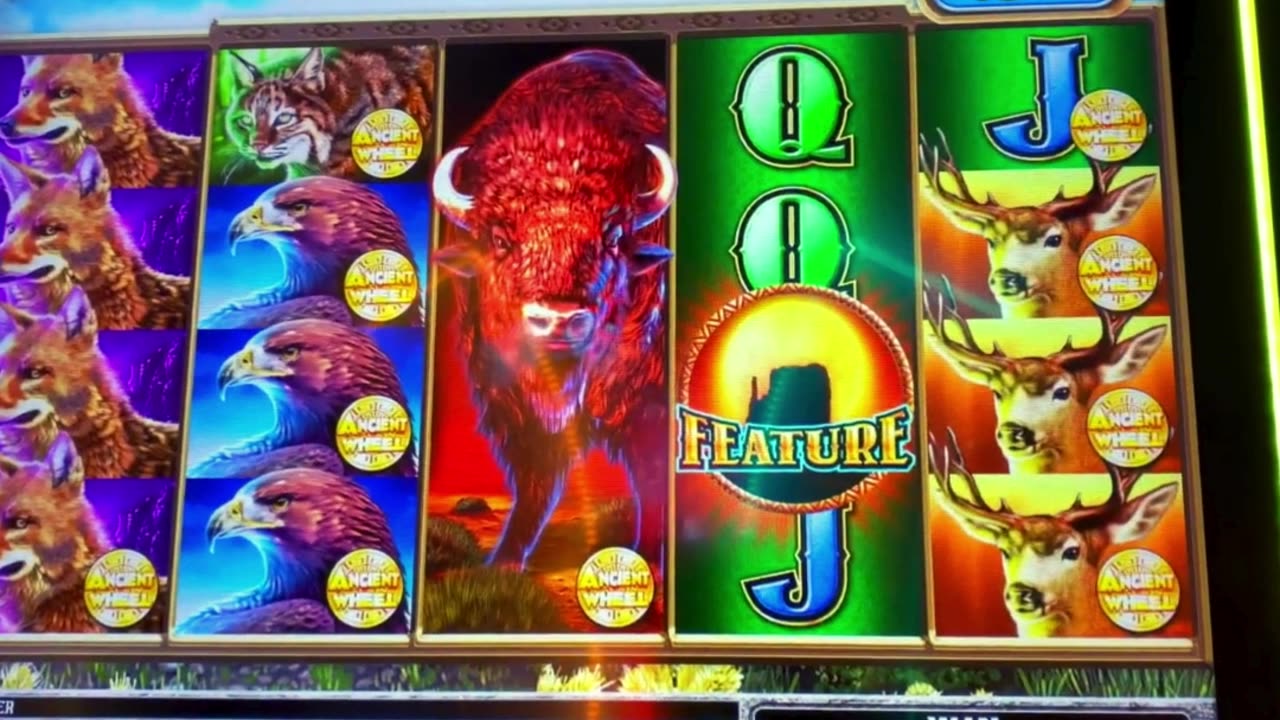 I Hit the MAJOR JACKPOT! 1st Time Playing This Slot!