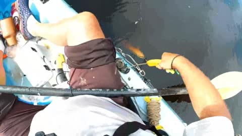 3rd week in august fishing on Waccamaw river