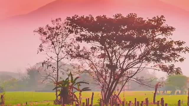Meditation music with relax sound