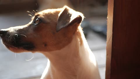 I'm just looking! can I?