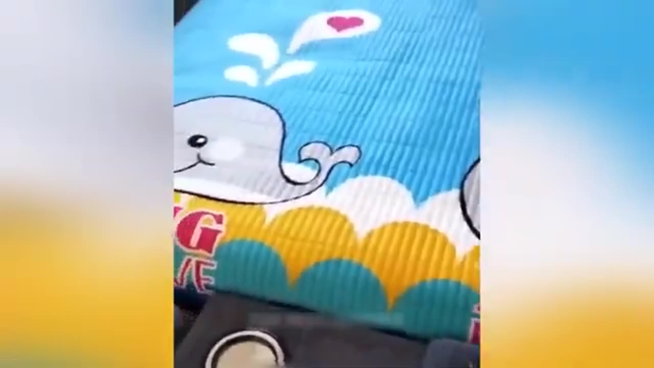 Funny animals video 2023