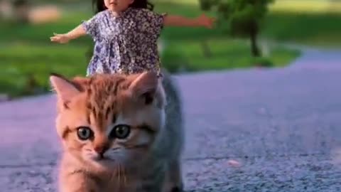 Riding a Cat 🐱 | Amazing Cat video