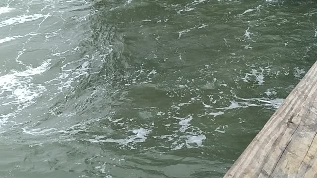 Ocean view pier in Norfolk Va