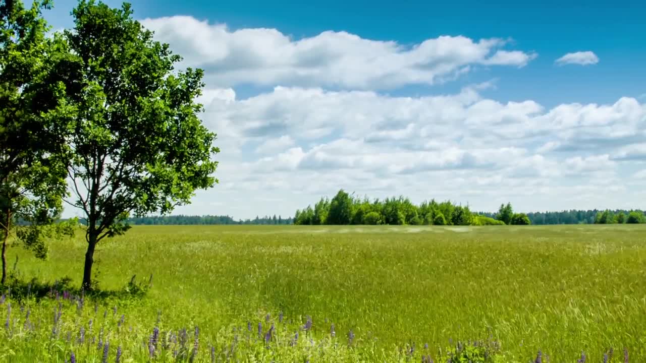 Farm outside under blue sky