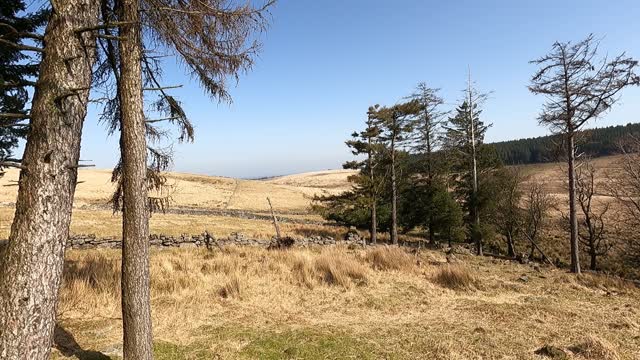 Wildcamping in Dartmoor. Beautiful scenery.