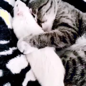 Même si tu n'est pas comme moi