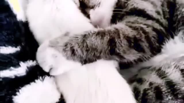 Même si tu n'est pas comme moi