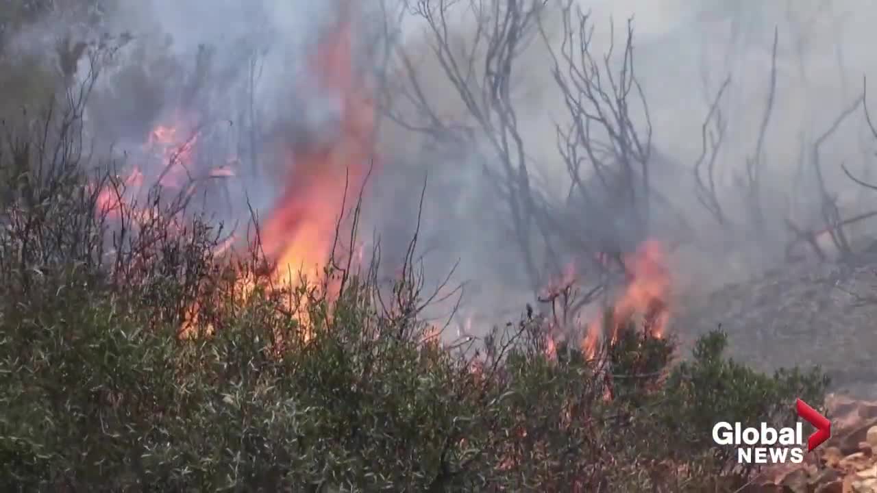 Spain wildfires: Flames near homes in Zamora as firefighters struggle with blazes