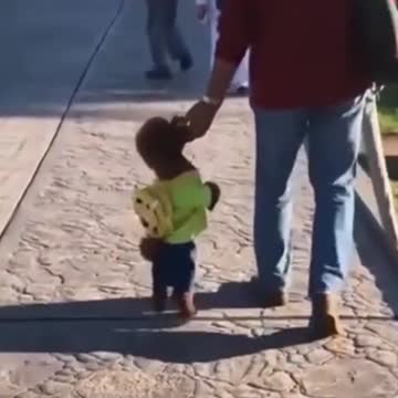 Cutest Kittens & Pups Try not to laugh