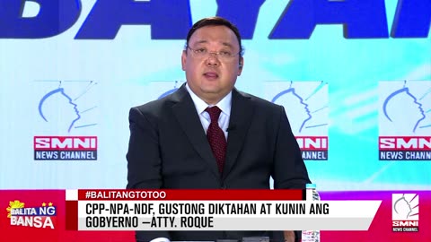 C P P-N P A-N D F, gustong diktahan at kunin ang gobyerno —Atty. Roque