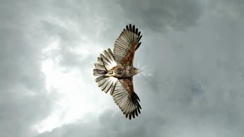 Vias aérea