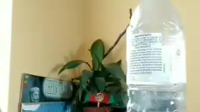 Trovato GRAFENE nel farmaco CO-CODAMOL.