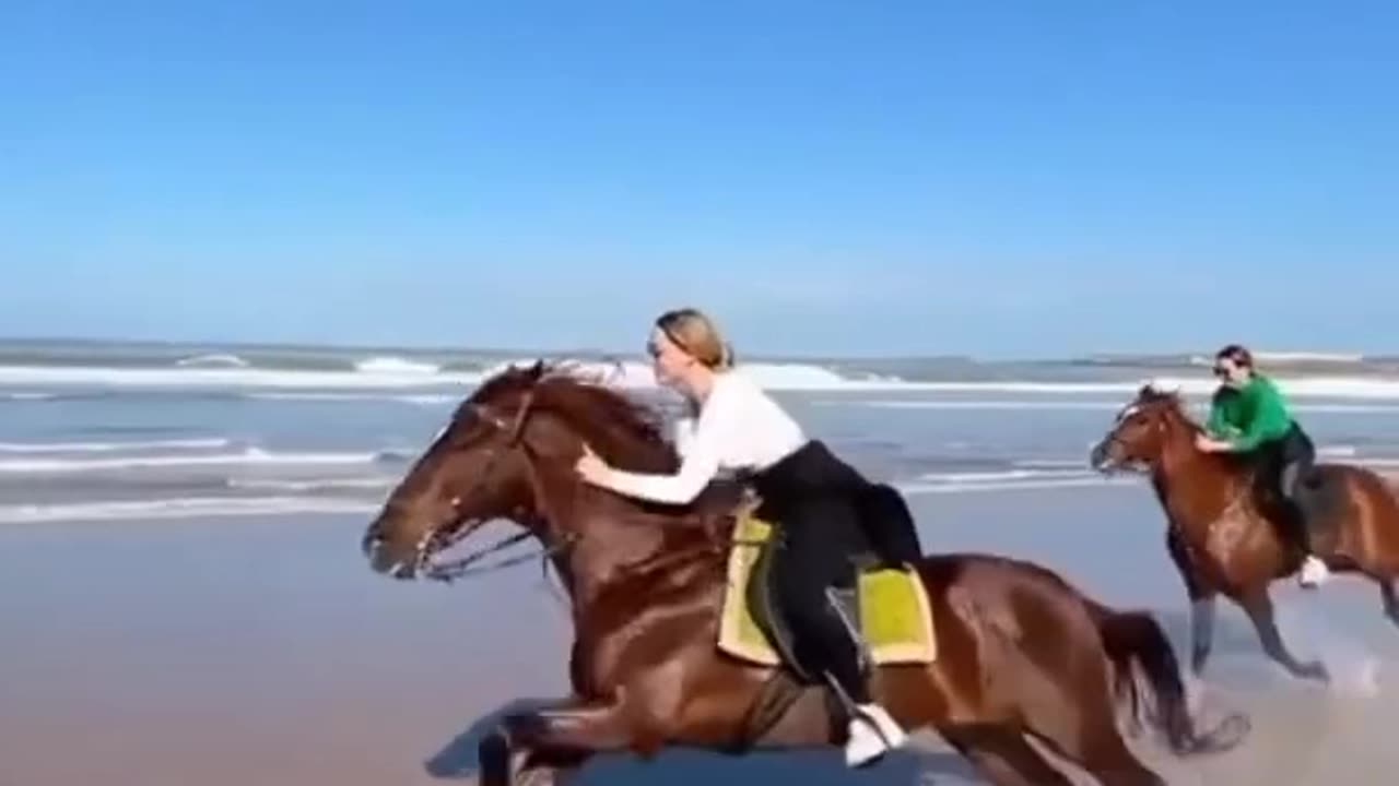 Horse riding on the beach