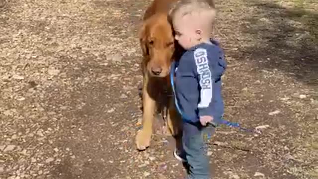 Kids and dogs