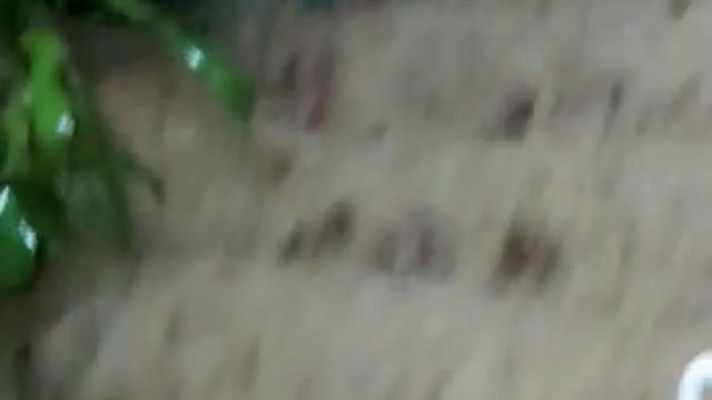 INUNDACION EN CASAS DEL BARRIO SAN PEDRO
