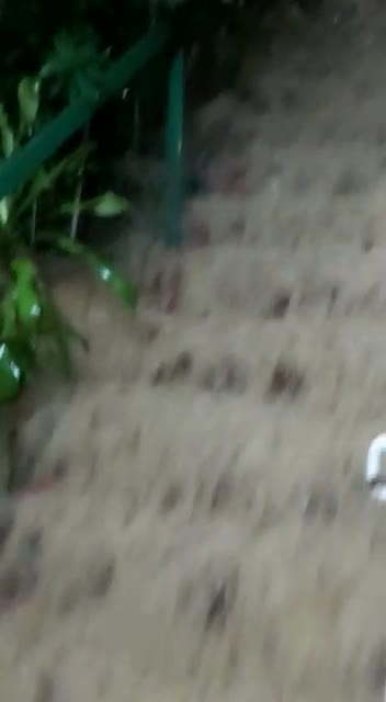 INUNDACION EN CASAS DEL BARRIO SAN PEDRO