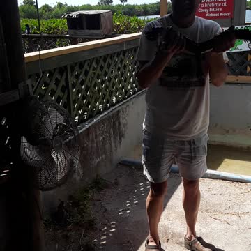 Holding a 2 year old Alligator was really cool.