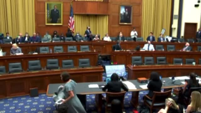 Congressman Matt Gaetz destroys democrats in hearing on gun ban.