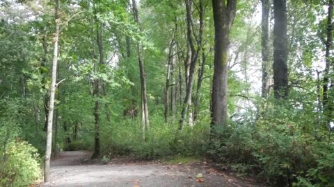 Makay trail, Abbotsford, BC, Canada.