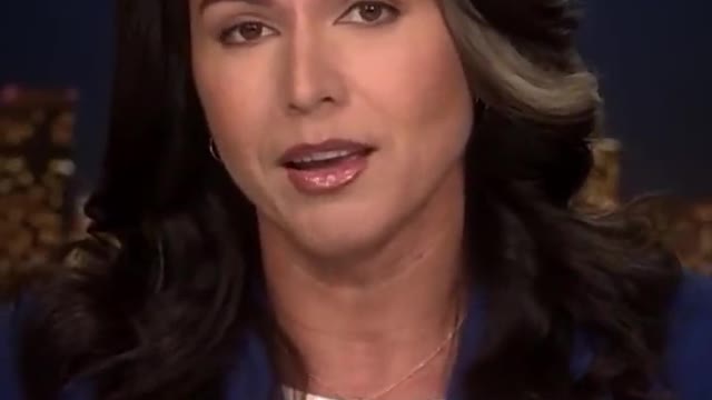 Tulsi Gabbard: “If you're against the establishment, they will try to destroy you.”