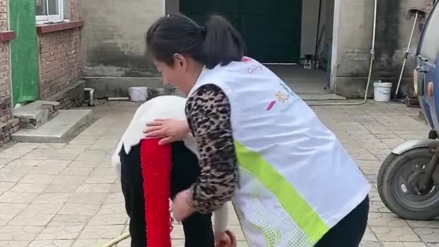 Best Funny Videos 2022, Chinese