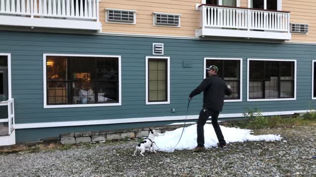 Snowball fight at Schweitzer Mountain