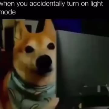 When you accidentally turn on light mode