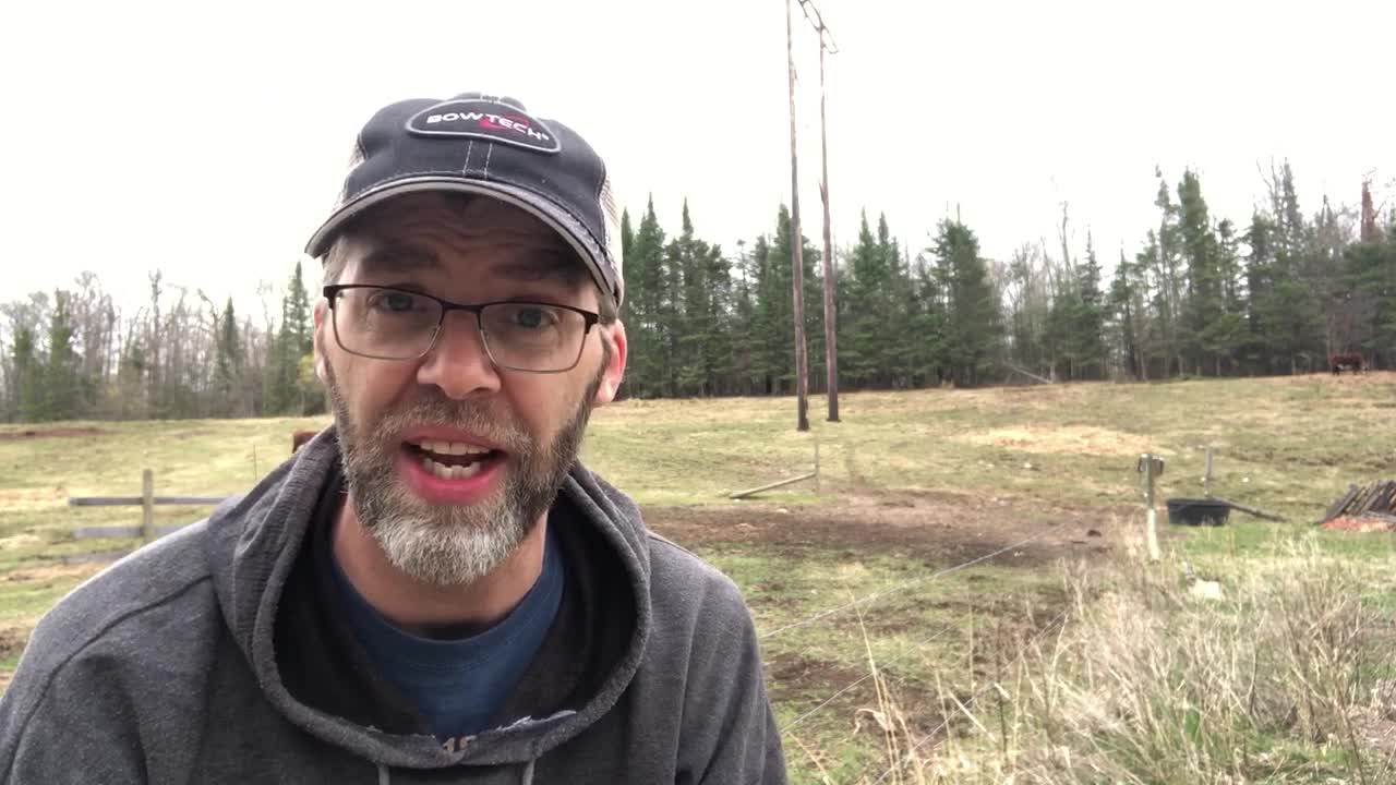 Morning Report