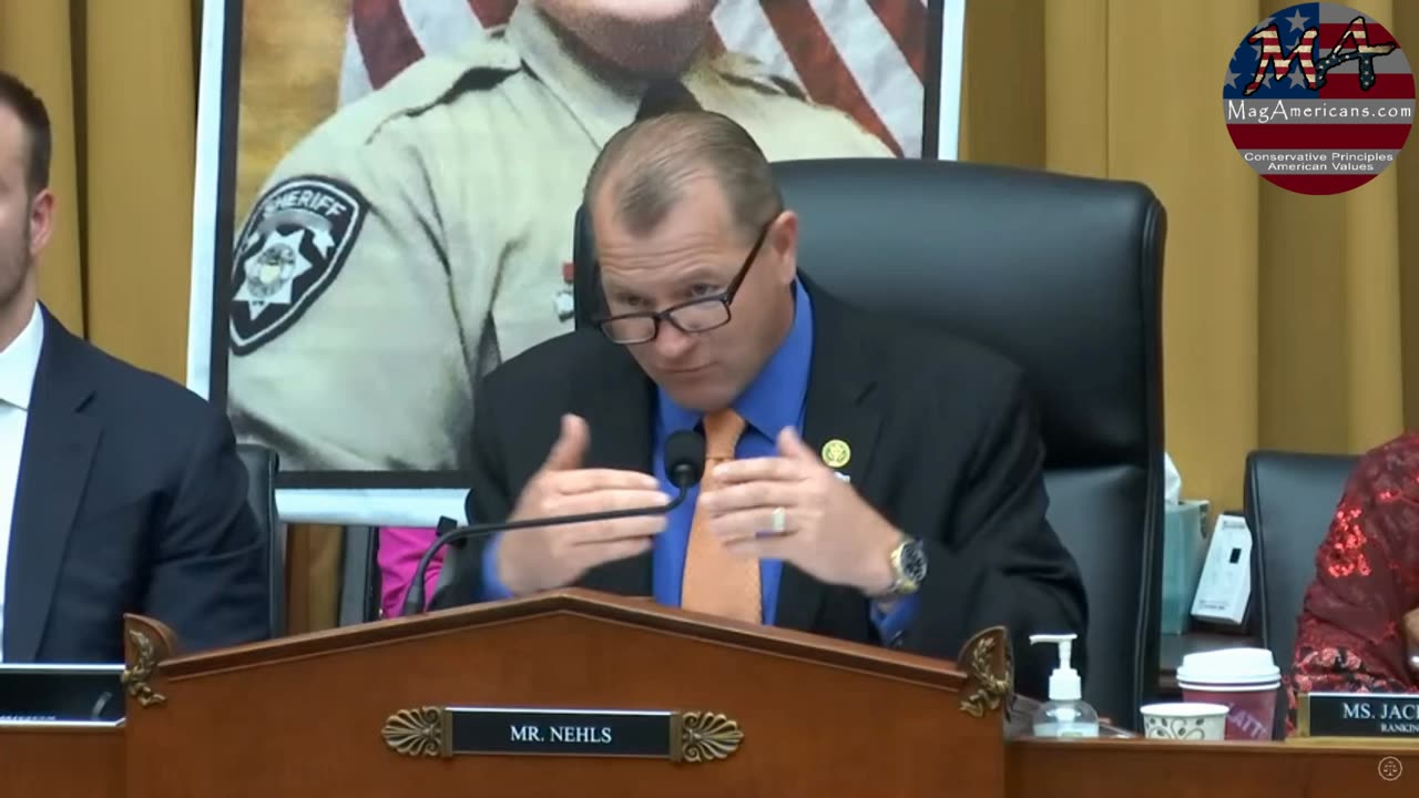 Rep. Nehls Grills Director Davis about J6 Inmates