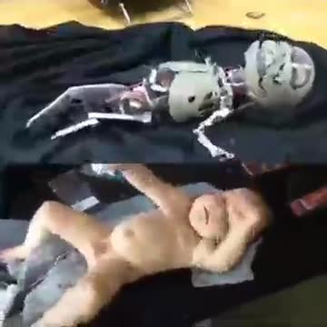 Robotico e Sintetico. ormai pronti