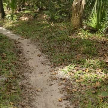 Seminole County Florida Soldiers Creek Mountain Bike Trail