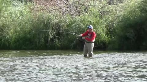 San Juan River Fly Fishing 2016