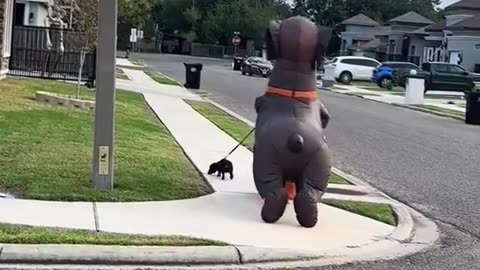 Who Is Walking With Who