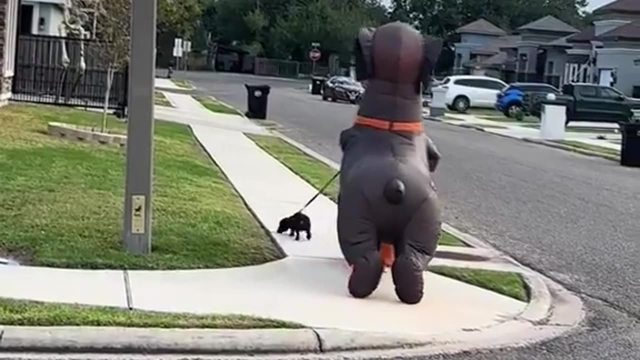 Who Is Walking With Who