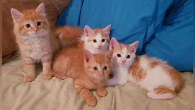They grow so fast