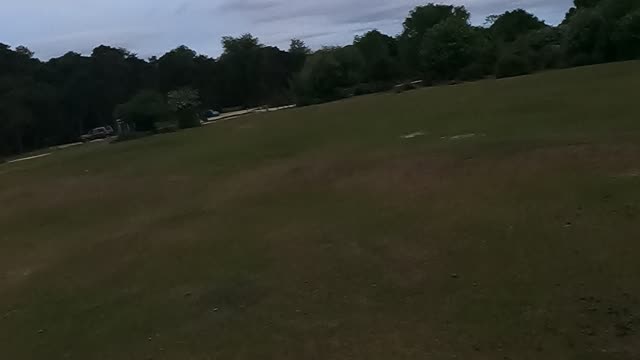 Panoramic view of the new forest at sunset.