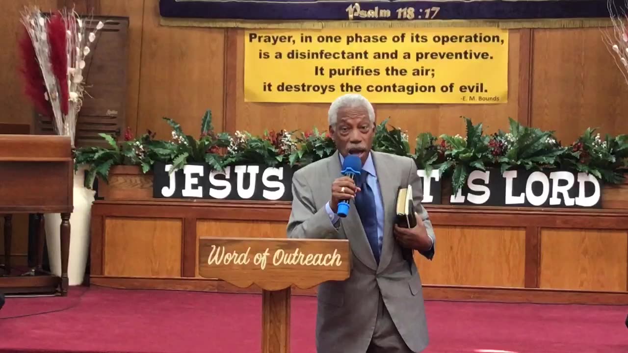 The Cross and The Counterfeit Tree