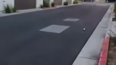 Lil fella put to much faith in that thing