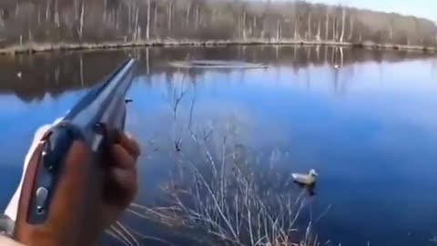 Duck hunting in one shoot