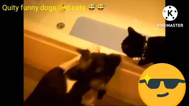 Cute funny video 🤪🤩