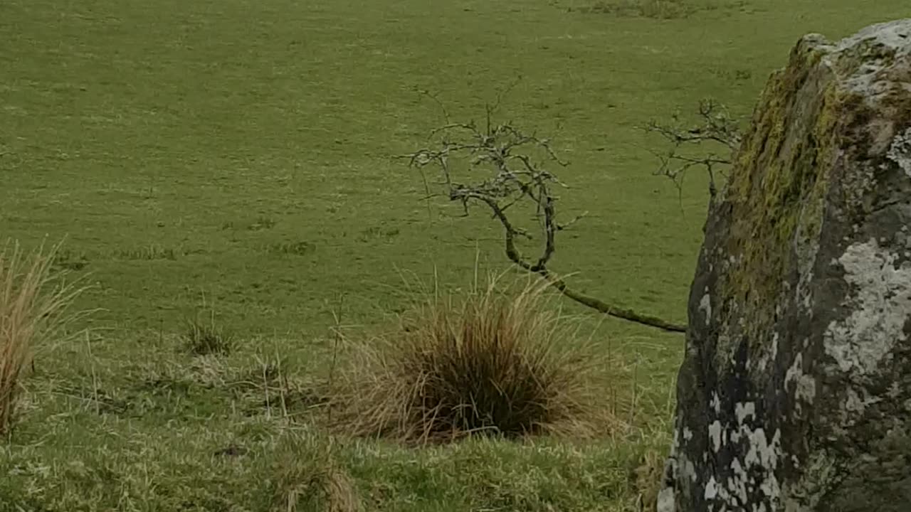 Loupin Stanes Stone Circle
