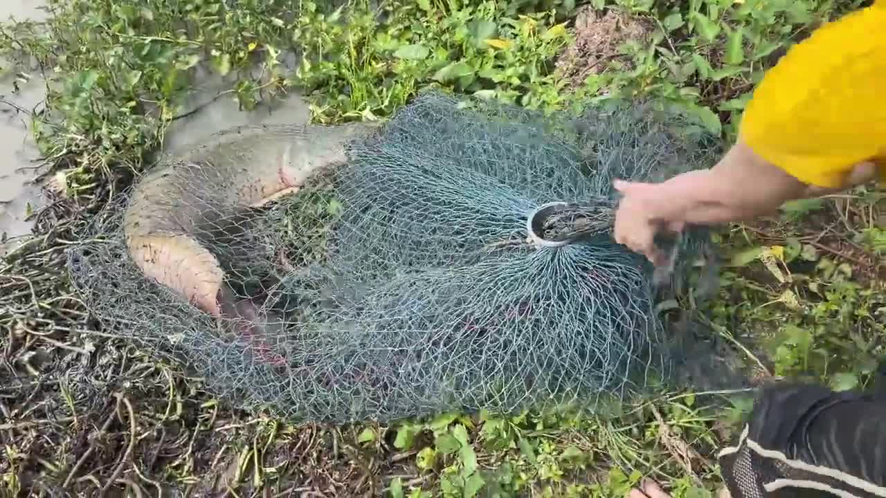 First Time Girl Cast Net Fishing DEFEATED By MONSTER Fish!-7