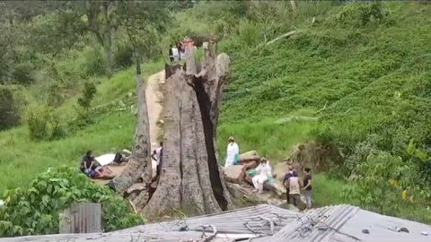 Video cuerpo hallado en estado de descomposición