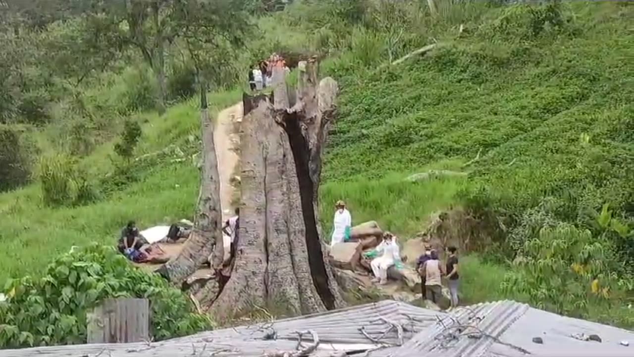 Video cuerpo hallado en estado de descomposición