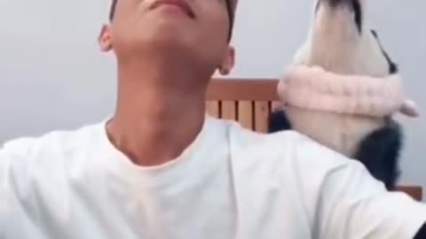 SKY Video! 🐶 _ Dog Lovers _ SHORT & FUNNY Videos 🤣 #Shorts