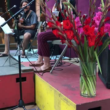 Jaide Whitman singing Chris Isaacs’s Don’t Want to Fall in Love