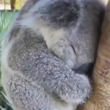 Cuteness overload 🥺