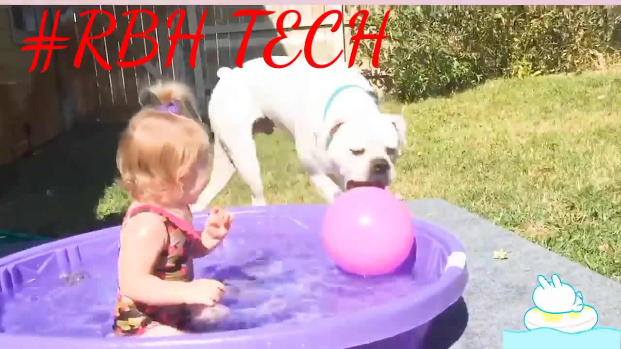 Watching Funny Baby Playing With Water & dog || Baby Outdoor