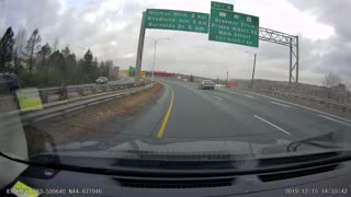 Seagull Flies Away After Slamming into Car